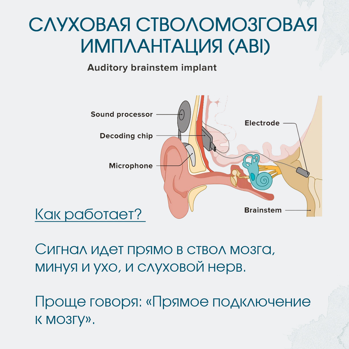Нужна помощь_Стволовая_МироновичФБ3 копия.jpg