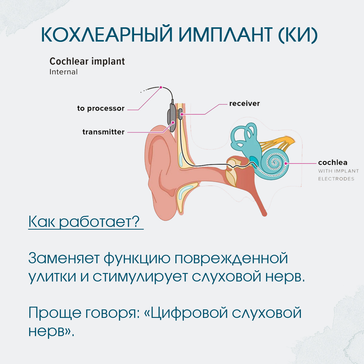 Нужна помощь_Стволовая_МироновичФБ2 копия.jpg