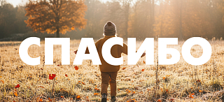 В ноябре оказана помощь на общую сумму 60 478 рублей.