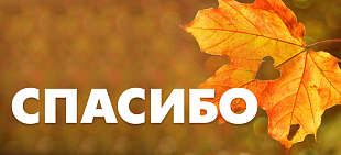 В октябре помощь оказана 13 детям на общую сумму почти 48 тысяч рублей