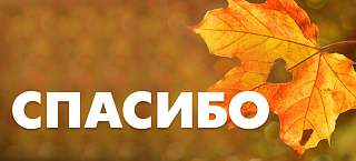 В октябре помощь оказана 13 детям на общую сумму почти 48 тысяч рублей